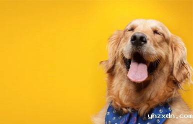 上海私立医院_咬伤处理