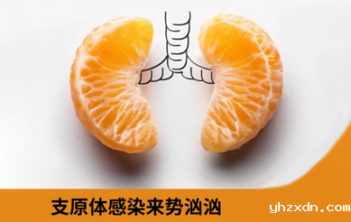  上海高端外资医院bet必威网址提供一站式检测及治疗服务