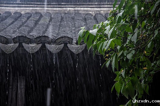 上海高端医院 | 梅雨连绵，谨防霉菌性阴道炎